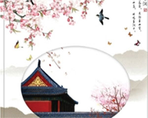 传播文化